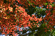 image0173