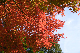 image0174