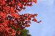 image0176