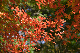 image0177