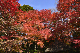 image0191