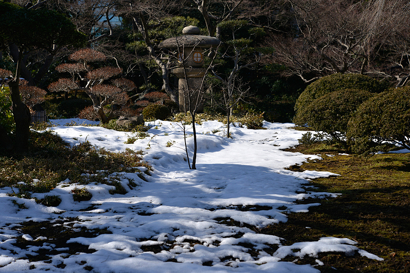 image0109