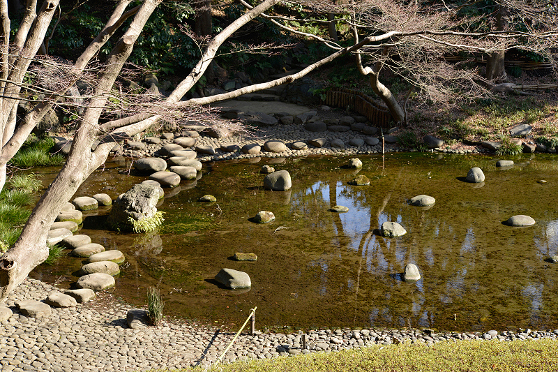 image0116