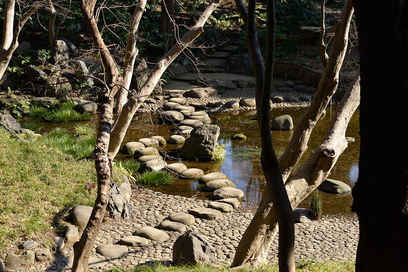 image0120