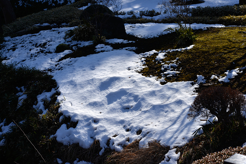 image0129
