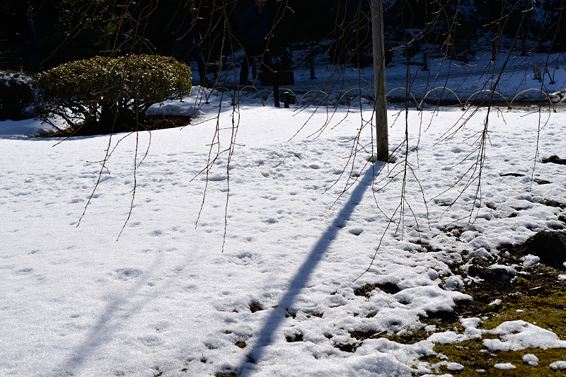 image0130
