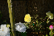 image0132