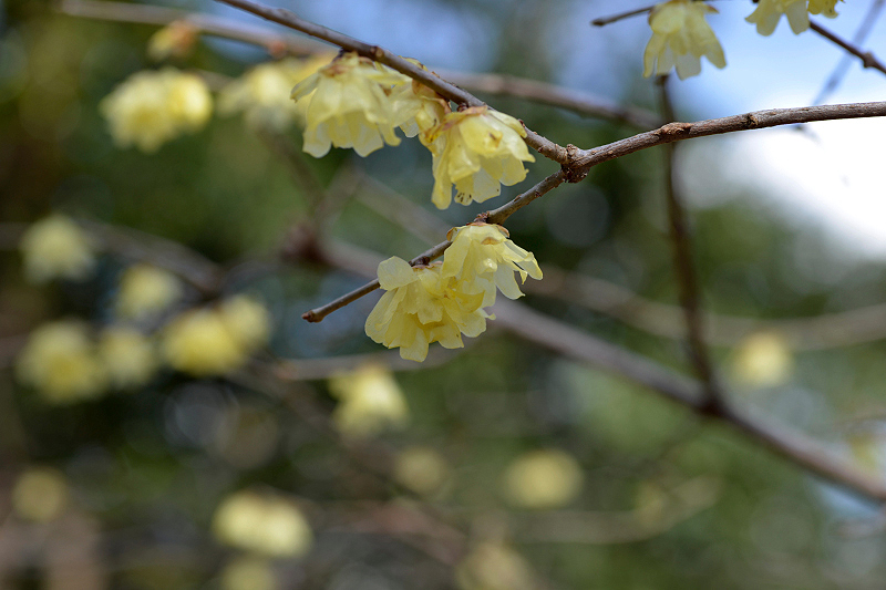 image0100