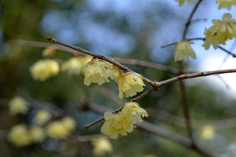 image0101
