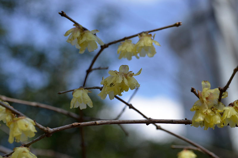 image0103