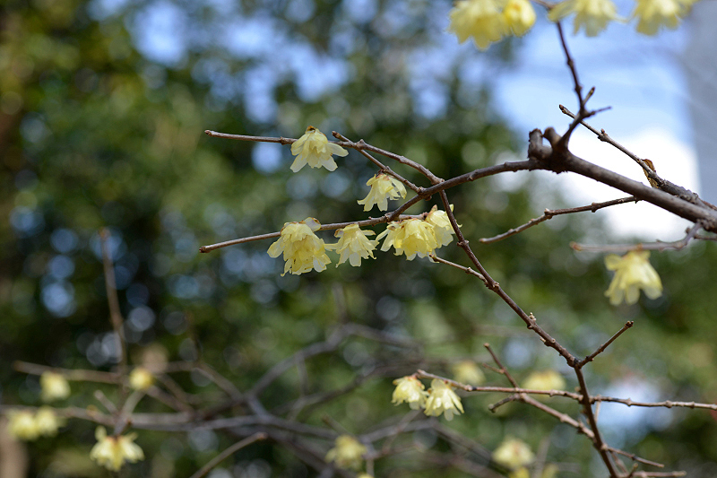 image0105