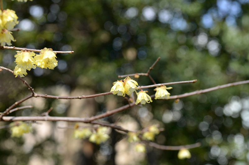image0109