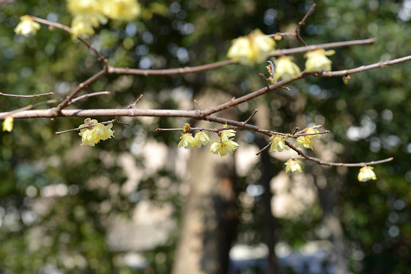 image0111