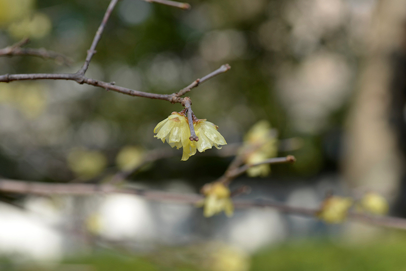 image0112
