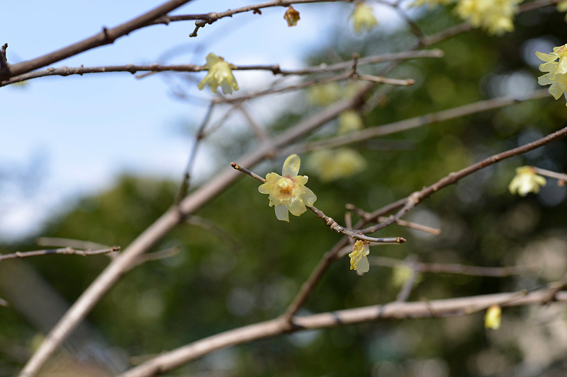 image0113