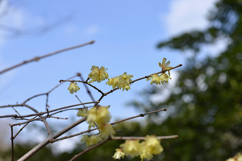 image0114