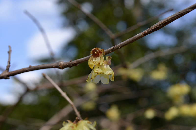 image0115