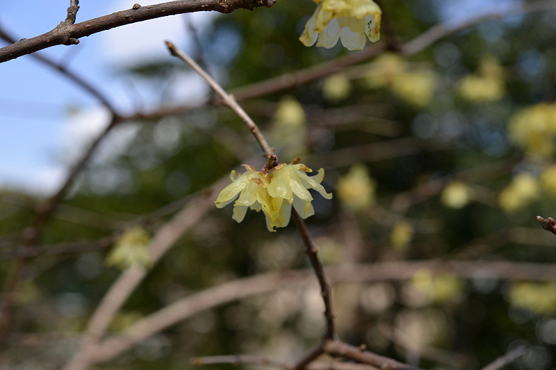 image0116