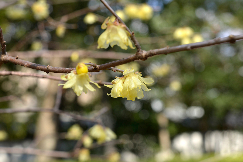 image0117