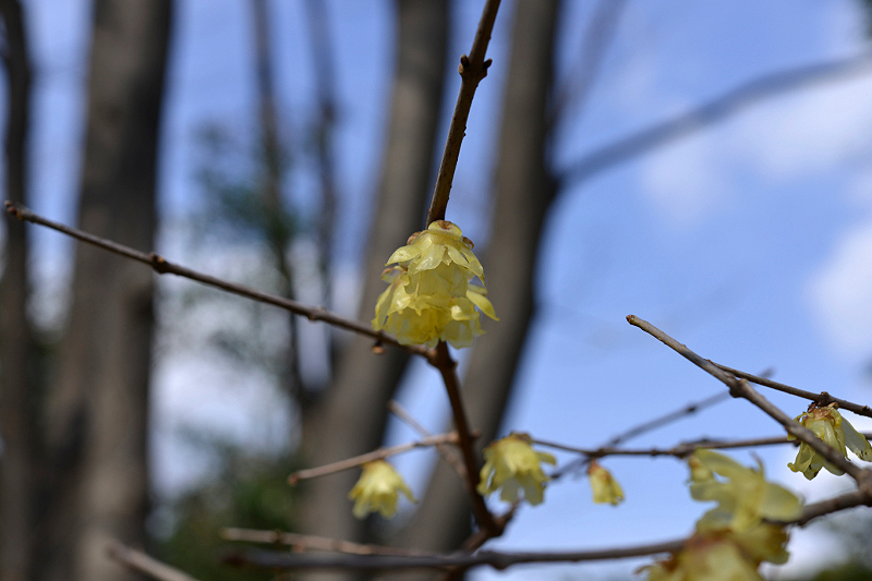 image0119