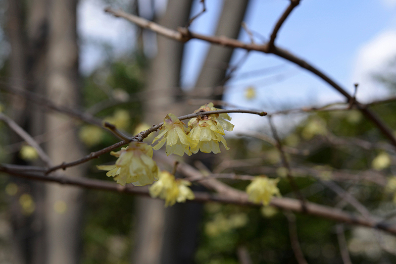 image0120