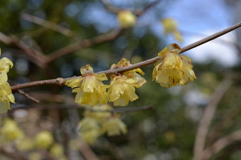 image0121
