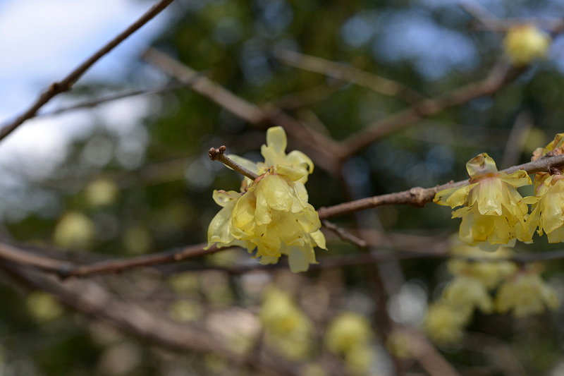 image0122
