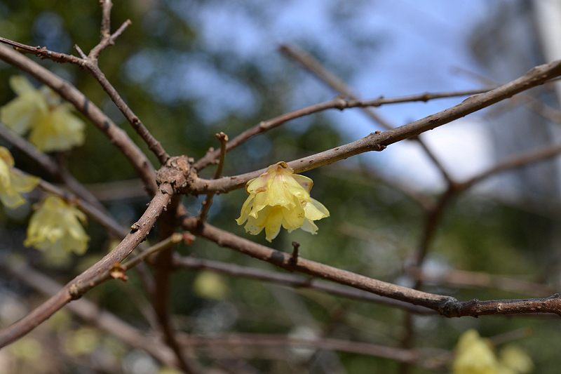 image0123