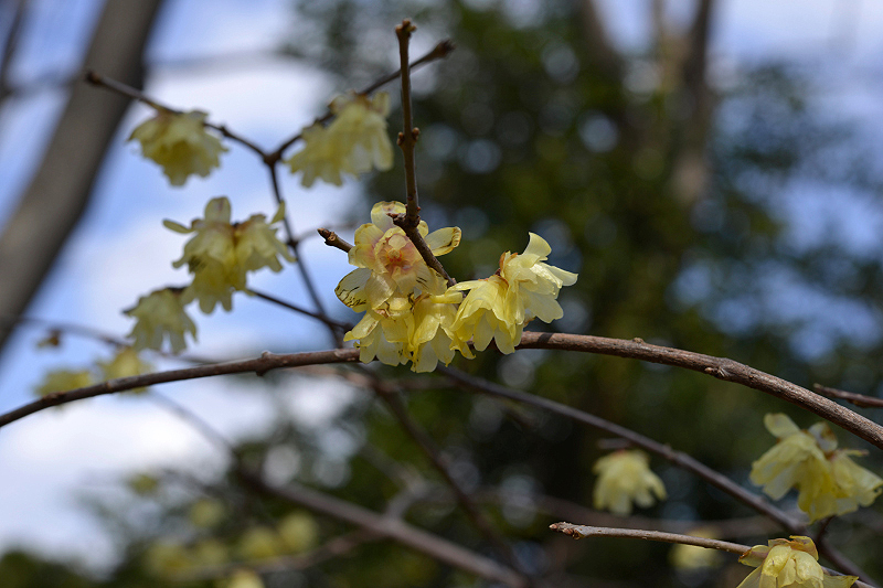 image0124
