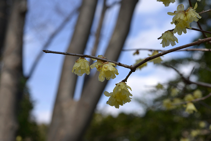 image0126