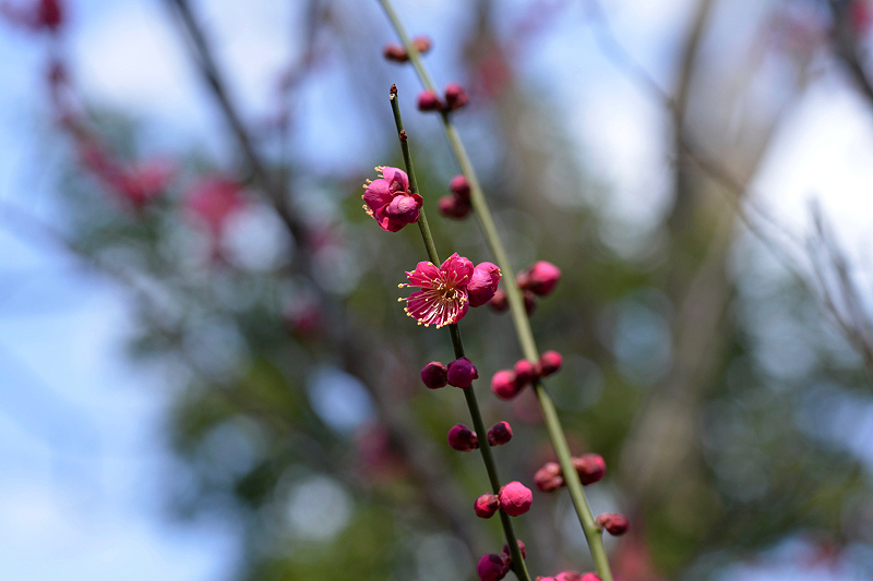 image0128