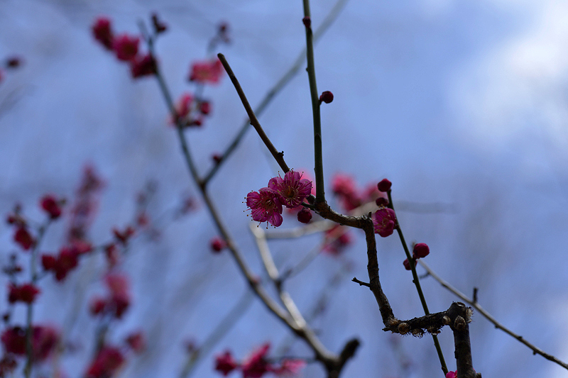 image0131