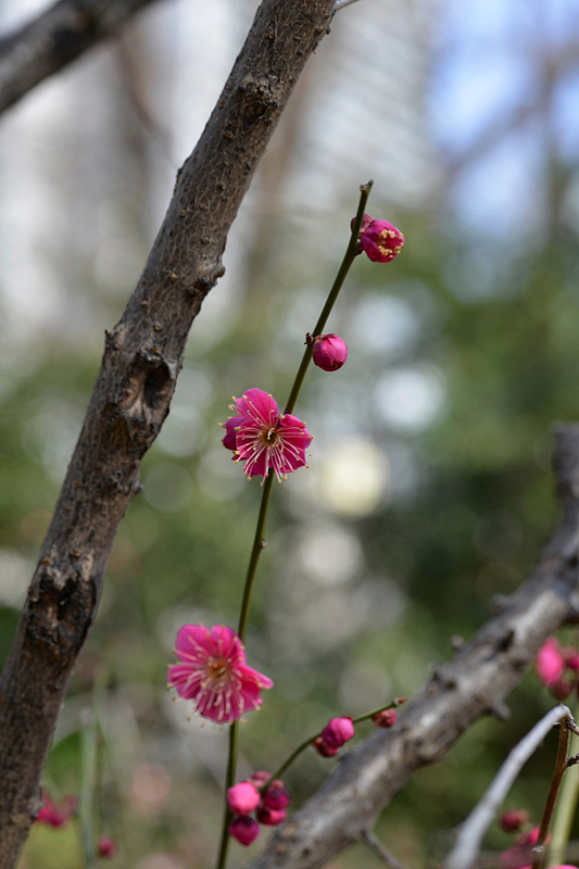image0133