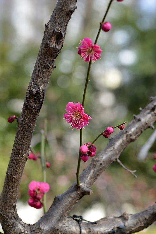 image0134
