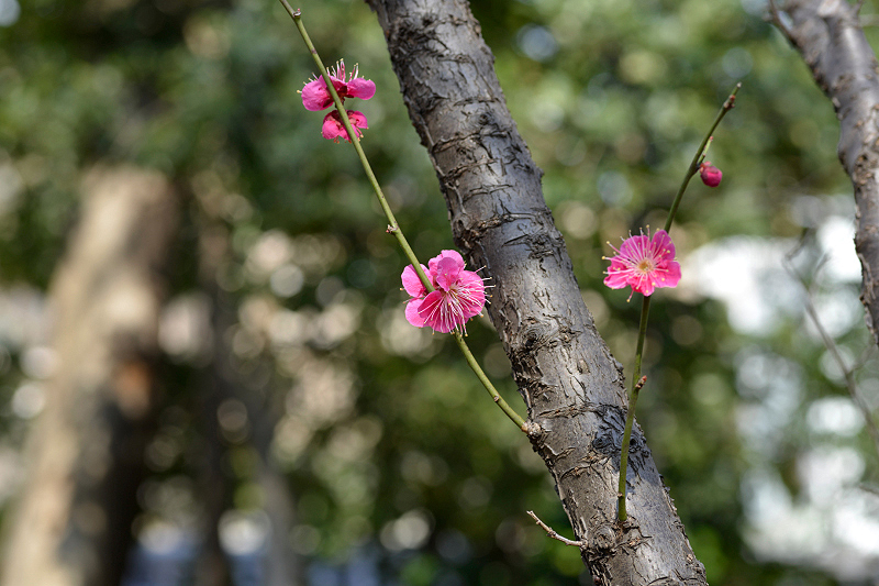 image0136