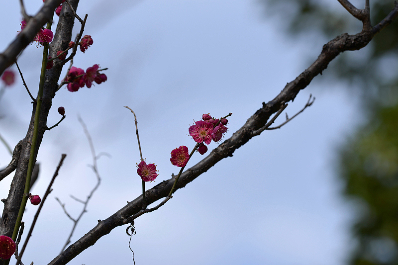 image0150