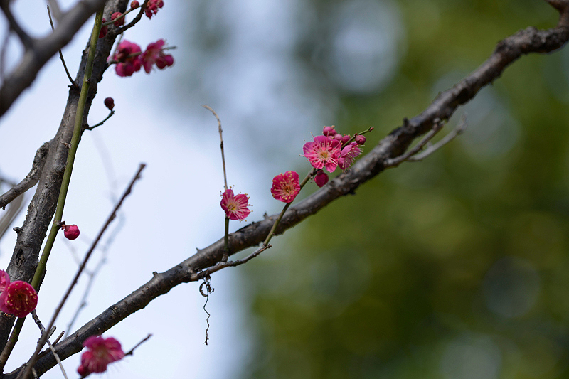 image0155