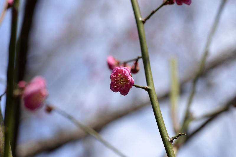 image0166