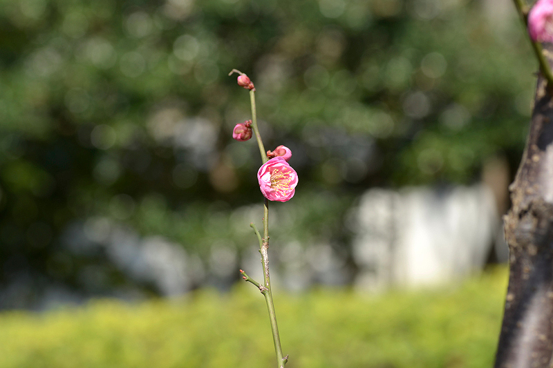 image0169