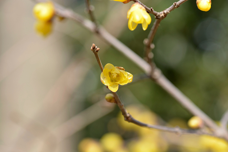 image0173