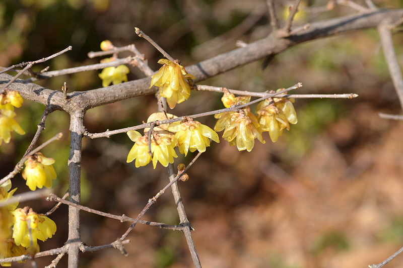 image0175