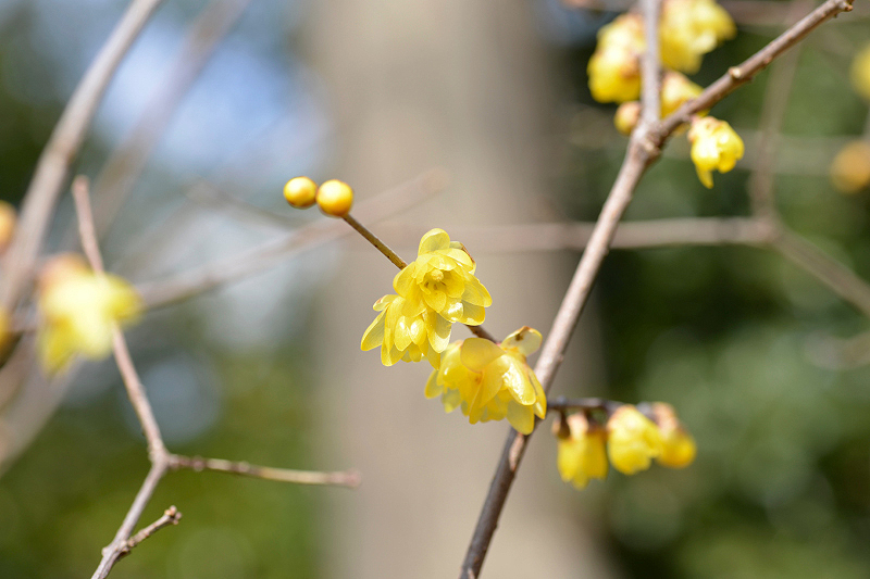 image0180