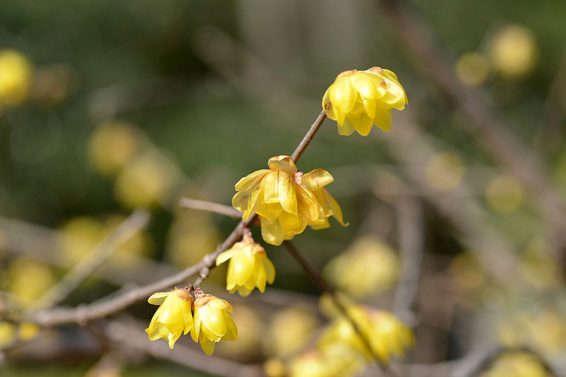 image0183