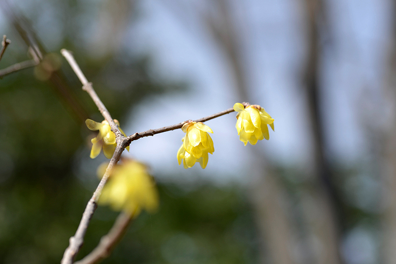 image0185