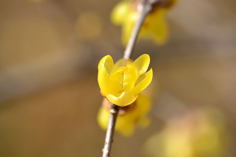 image0187