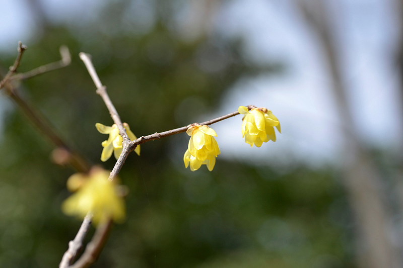 image0189