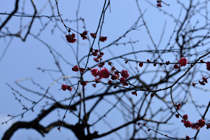 image0192
