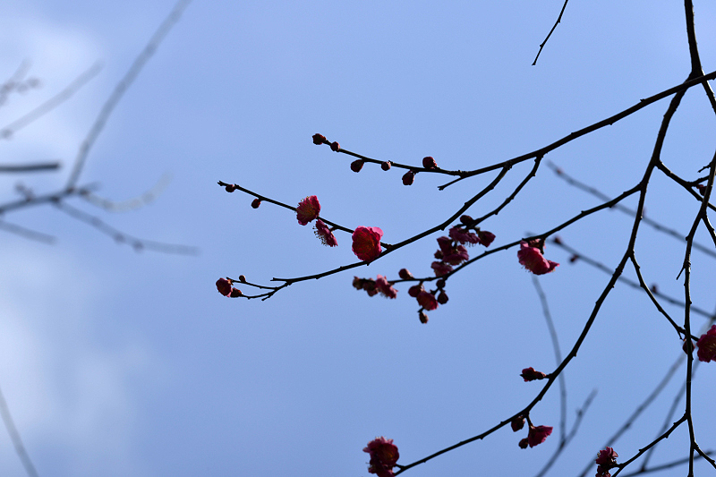 image0193