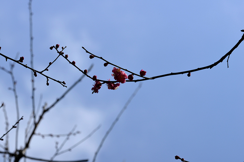 image0194