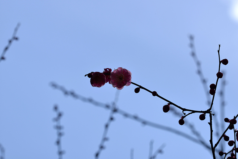 image0197